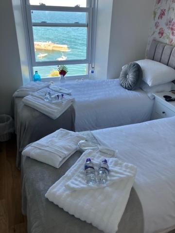 What A View Mevagissey Bagian luar foto