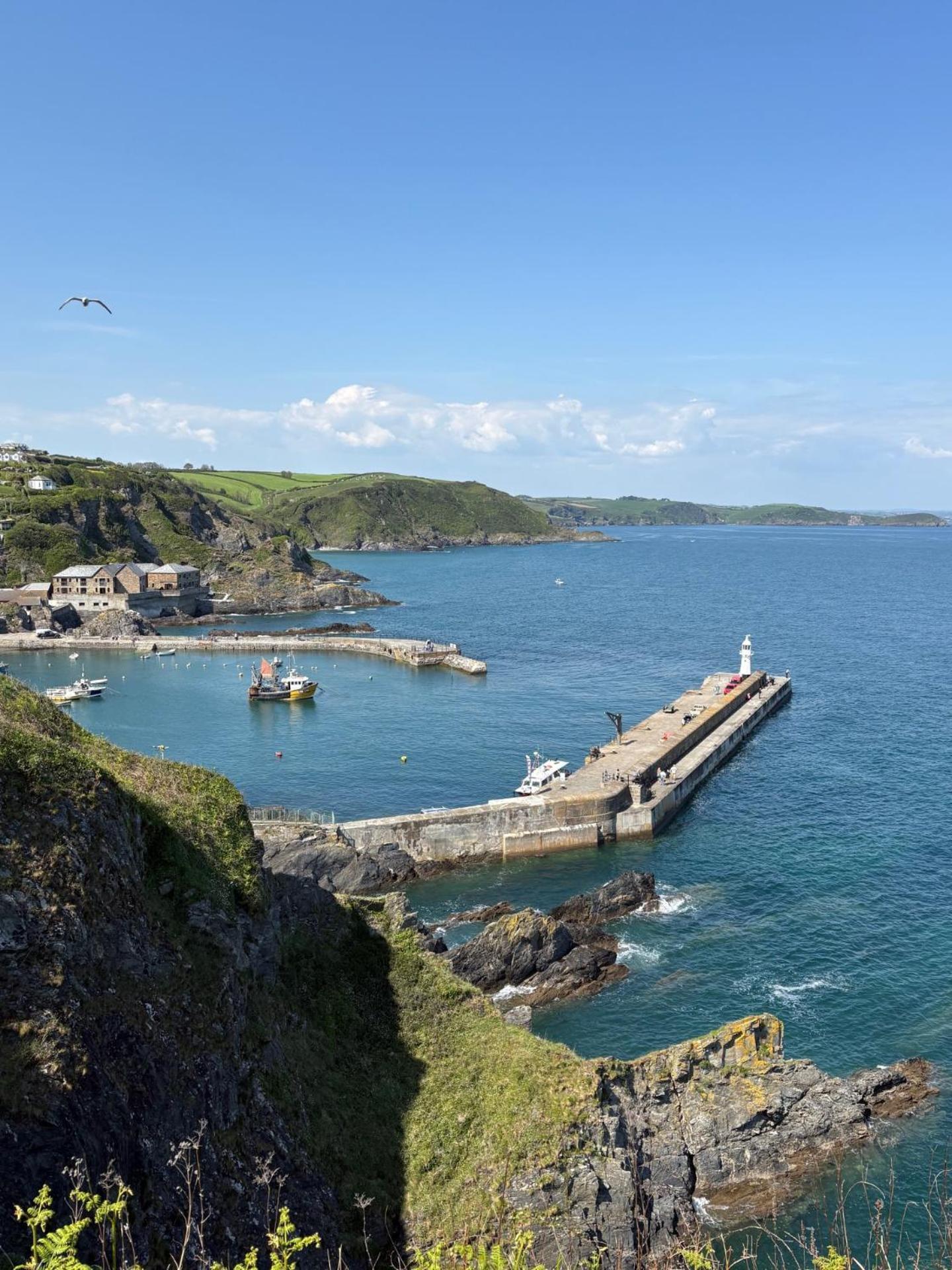 What A View Mevagissey Bagian luar foto